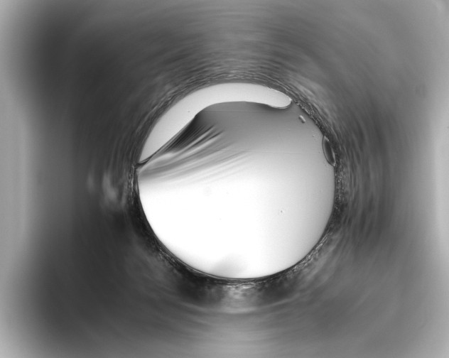 X0000095670172200802051238