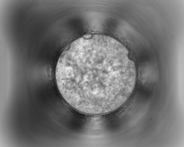 X0000095670173200802051238