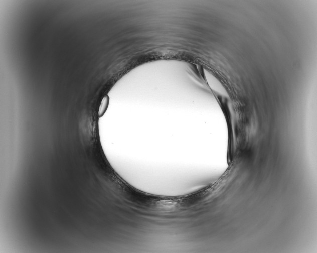 X0000095670176200802051238