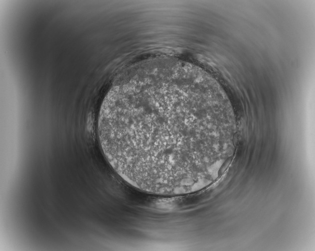 X0000095670178200802051238
