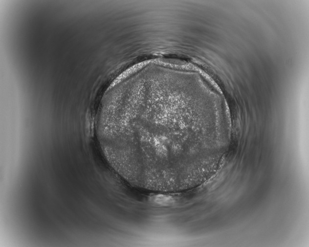 X0000095670180200802051238