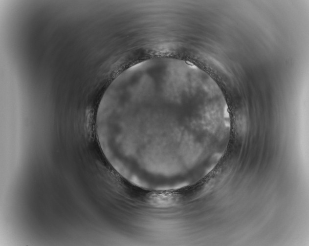 X0000095670181200802051238