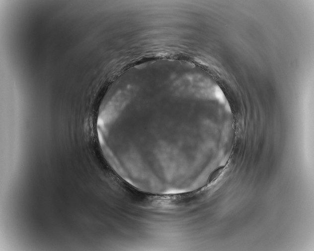 X0000095670182200802051238