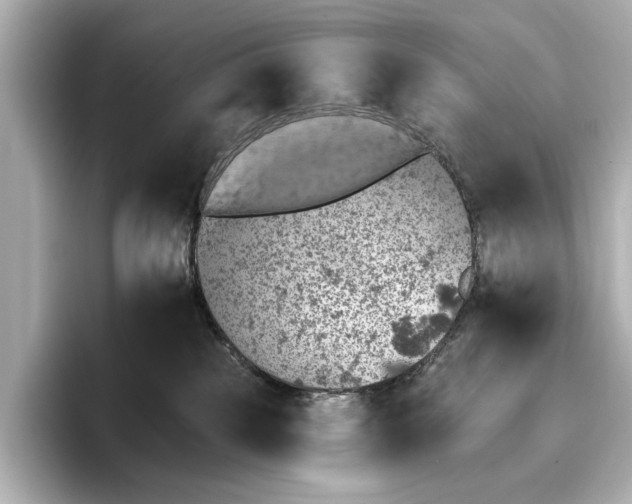 X0000095670185200802051238
