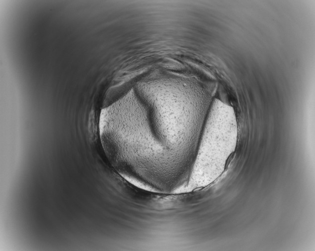 X0000095670186200802051238
