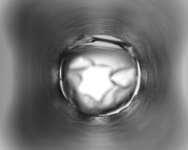 X0000095670188200802051238