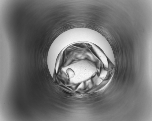 X0000095670190200802051238