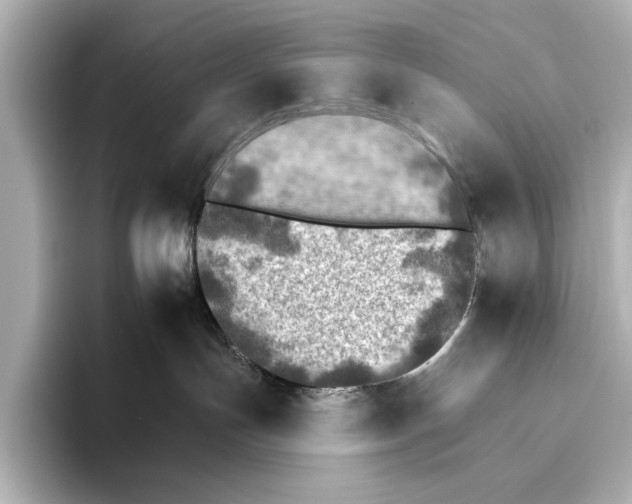 X0000095670191200802051238