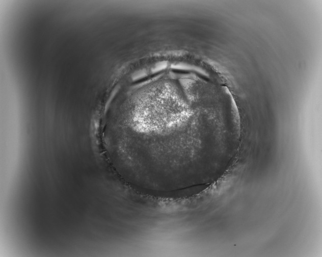 X0000095670192200802051238