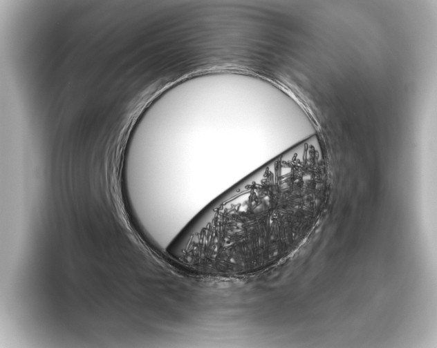 X0000095670193200802051237