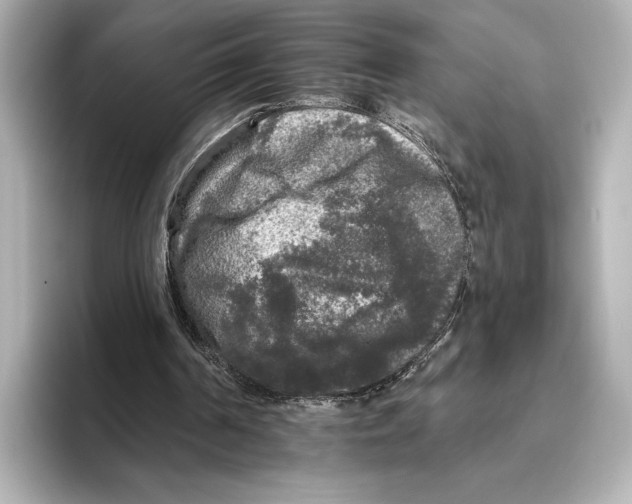 X0000095670194200802051237
