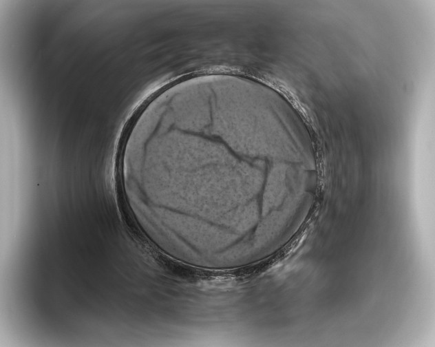 X0000095670196200802051237