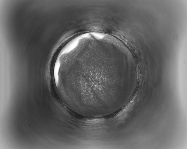 X0000095670198200802051237