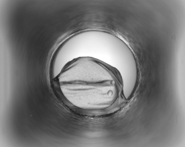 X0000095670199200802051237