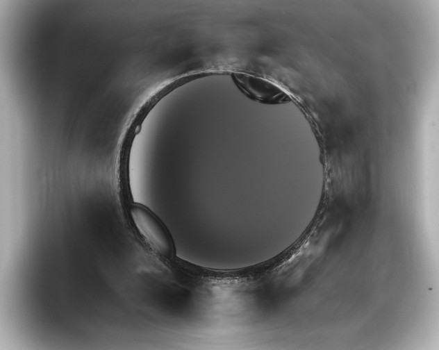 X0000095670200200802051237