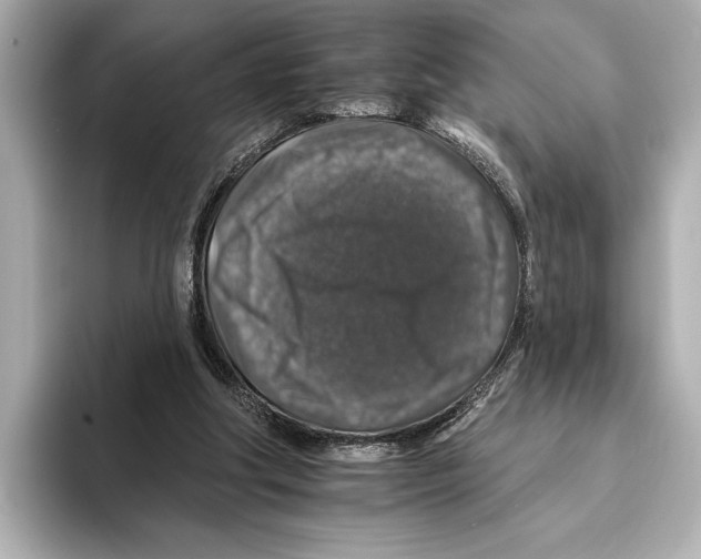 X0000095670202200802051237