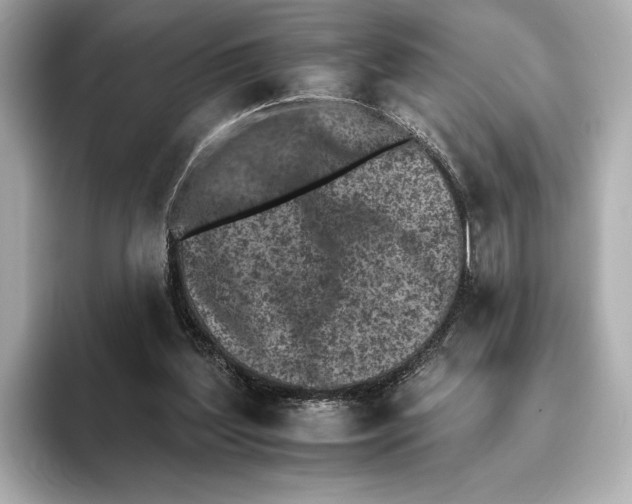 X0000095670204200802051237