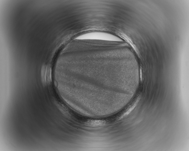 X0000095670205200802051237