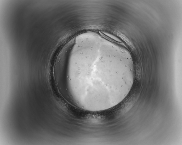 X0000095670207200802051237