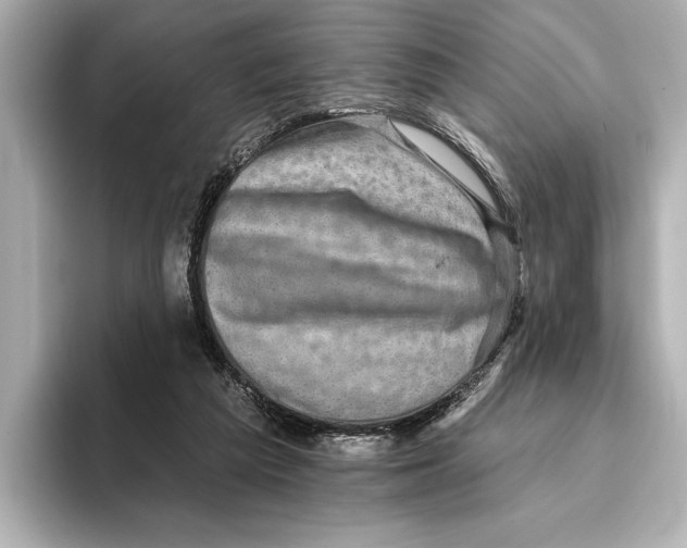 X0000095670209200802051237