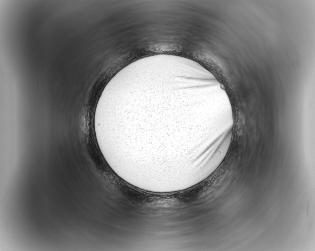 X0000095670210200802051237