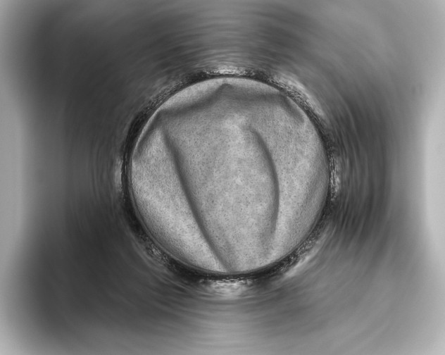 X0000095670213200802051237