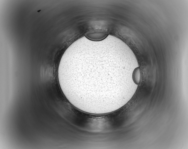 X0000095670218200802051237