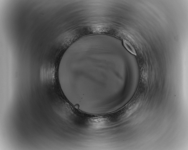 X0000095670219200802051237