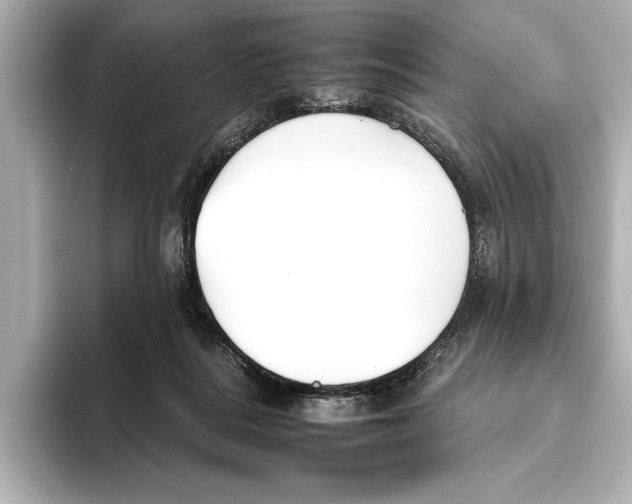 X0000095670220200802051237