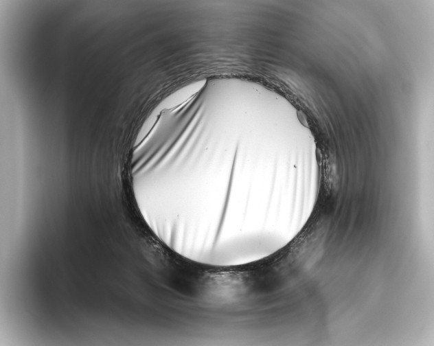 X0000095670221200802051237