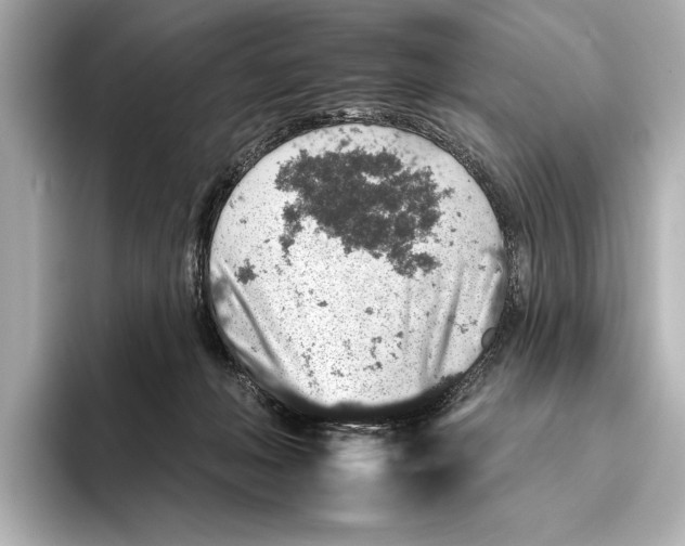 X0000095670222200802051237