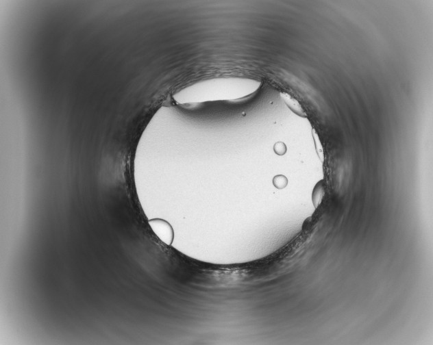X0000095670225200802051237