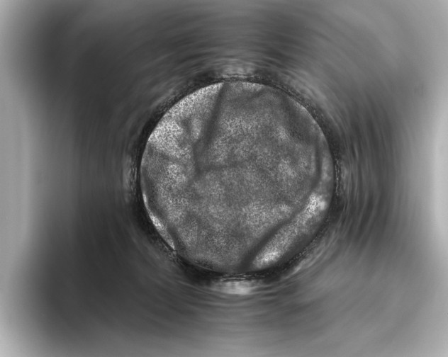 X0000095670228200802051237