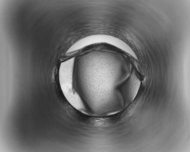 X0000095670229200802051237
