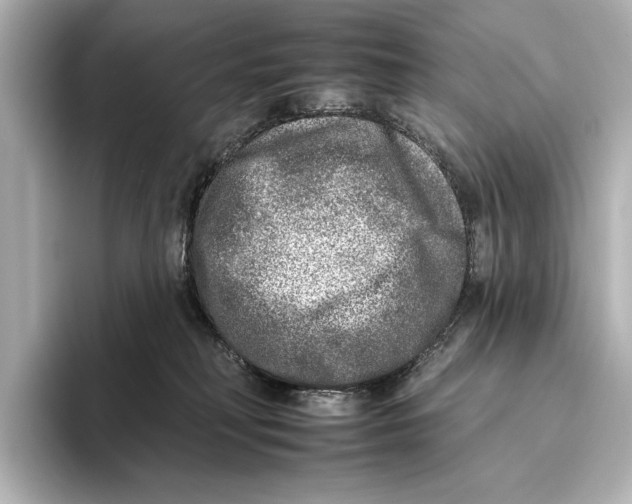 X0000095670230200802051237