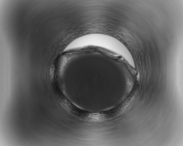 X0000095670231200802051237