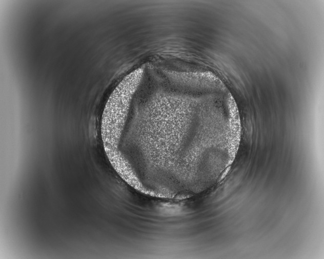X0000095670232200802051237