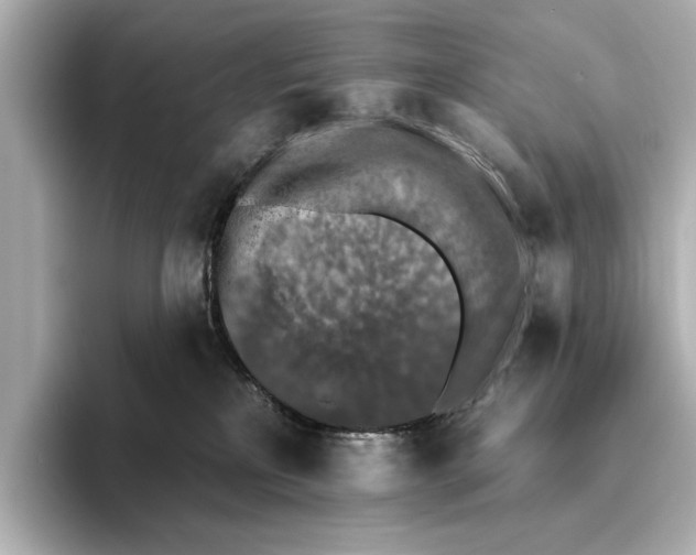 X0000095670233200802051237