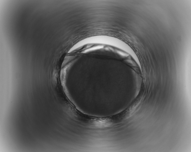 X0000095670235200802051237