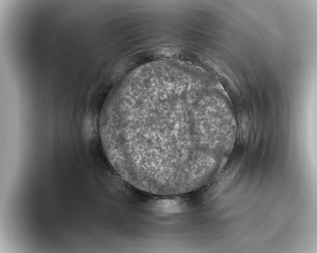 X0000095670236200802051237