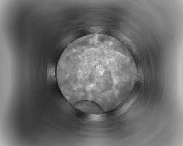 X0000095670238200802051237