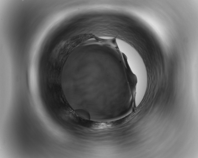 X0000095670239200802051237