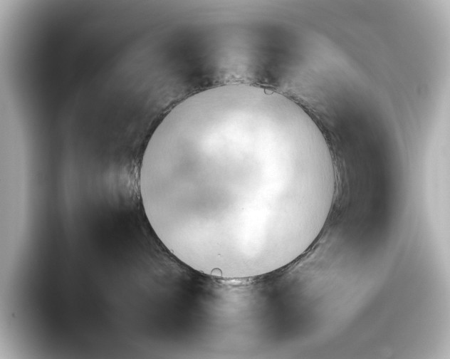 X0000095670240200802051237