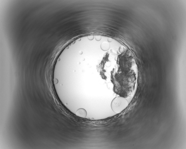 X0000095670241200802051236