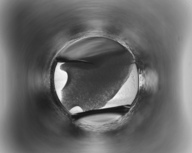 X0000095670243200802051236