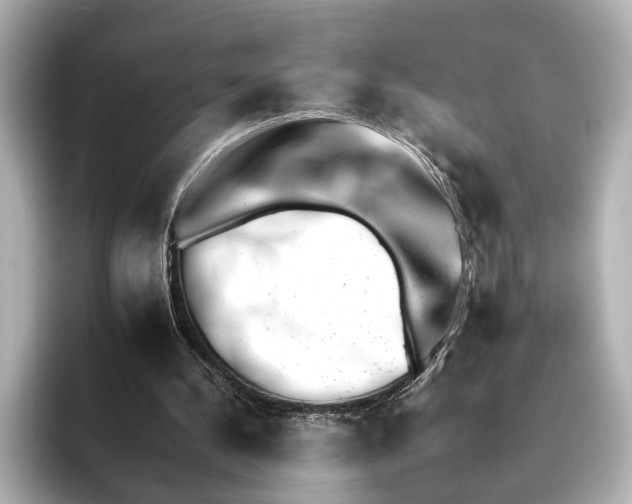 X0000095670244200802051236