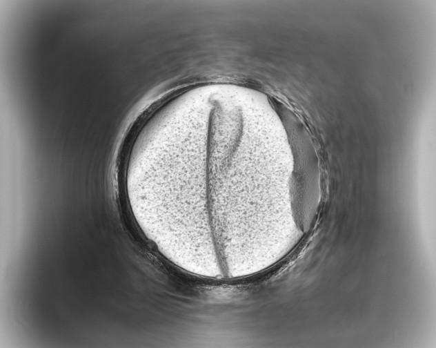 X0000095670246200802051236
