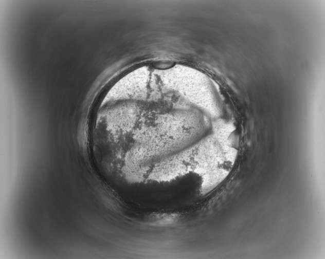 X0000095670247200802051236