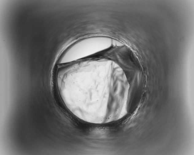 X0000095670248200802051236