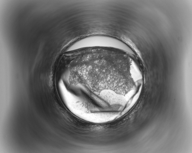 X0000095670249200802051236